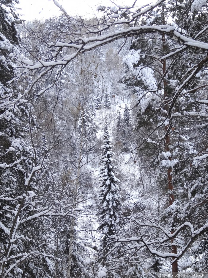Алтайская сказка. Тропа в горы, терренкур №2-Старая Мельница. Часть 3