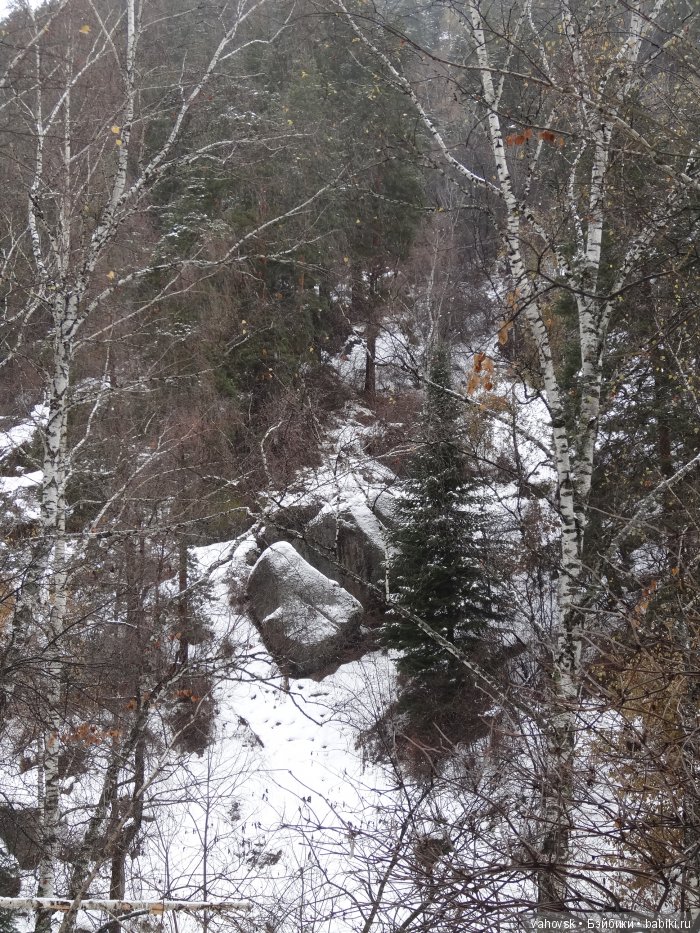 Алтайская сказка. Тропа в горы, терренкур №2-Старая Мельница. Часть 3