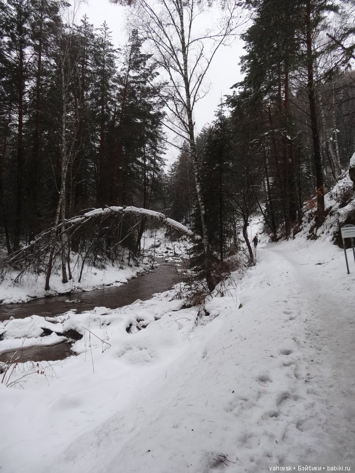 Алтайская сказка. Тропа в горы, терренкур №2-Старая Мельница. Часть 3