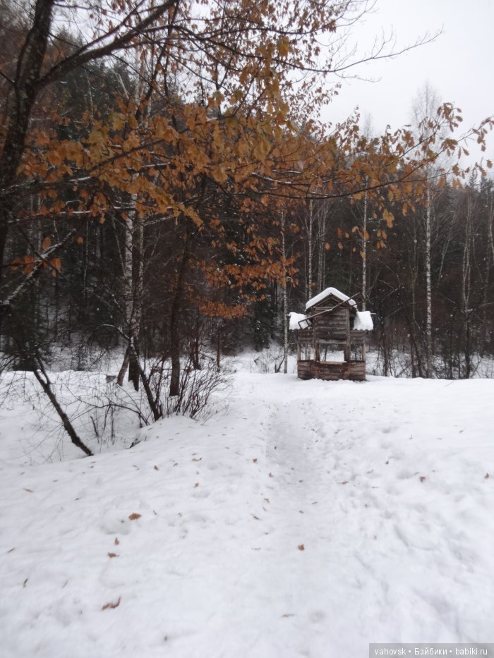 Алтайская сказка. Тропа в горы, терренкур №2-Старая Мельница. Часть 3