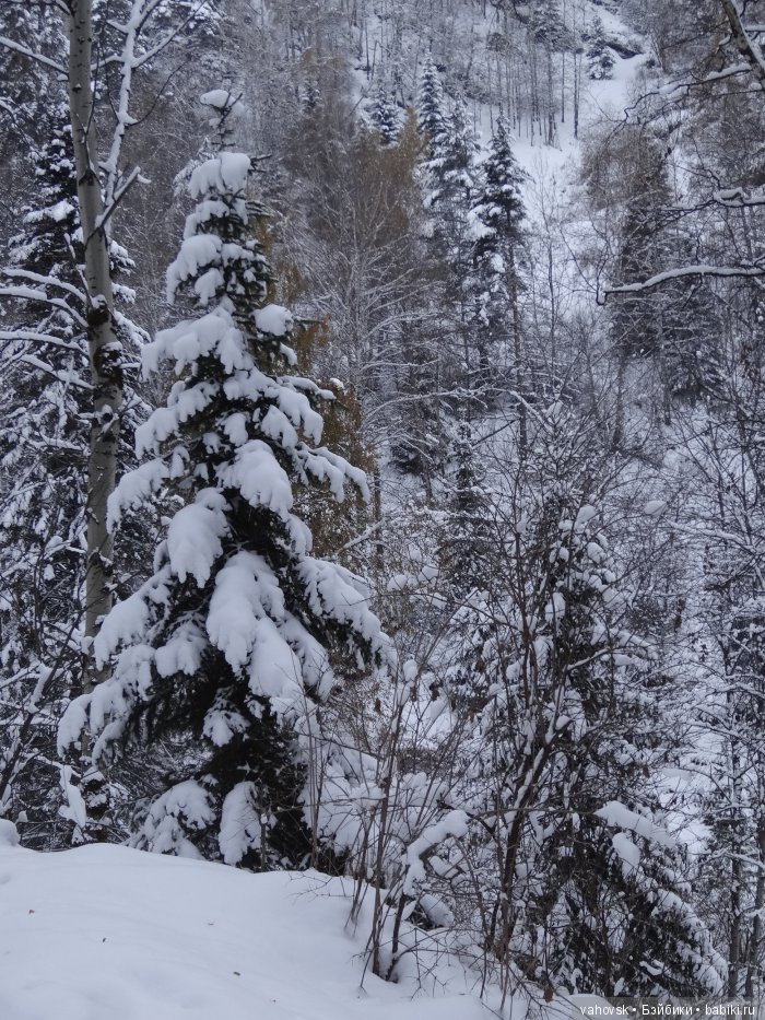 Алтайская сказка. Тропа в горы, терренкур №2-Старая Мельница. Часть 3