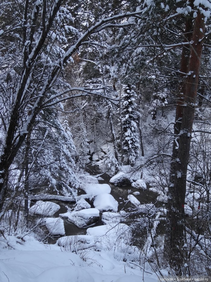 Алтайская сказка. Тропа в горы, терренкур №2-Старая Мельница. Часть 3