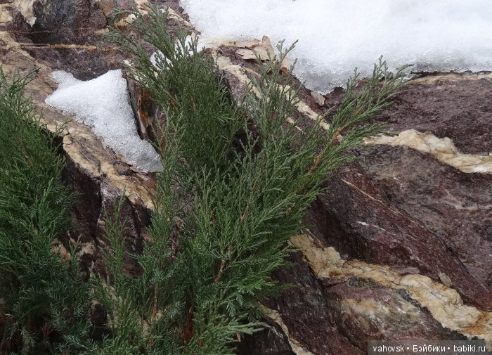 Алтайская сказка. Последняя гастроль. 4 часть (фото 10)