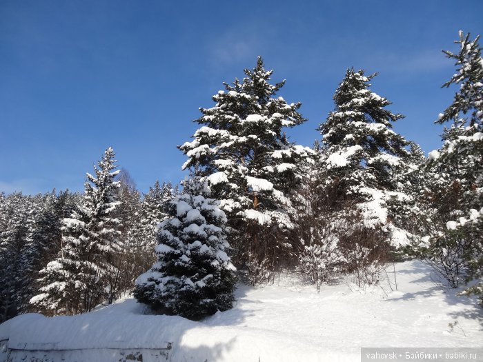 Алтайская сказка. Последняя гастроль. 4 часть (фото 2)