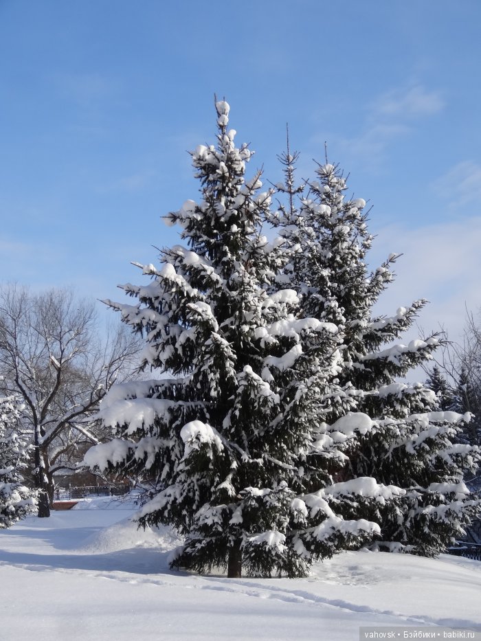 Алтайская сказка. Последняя гастроль. 4 часть