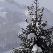 Алтайская сказка. Последняя гастроль. 4 часть.