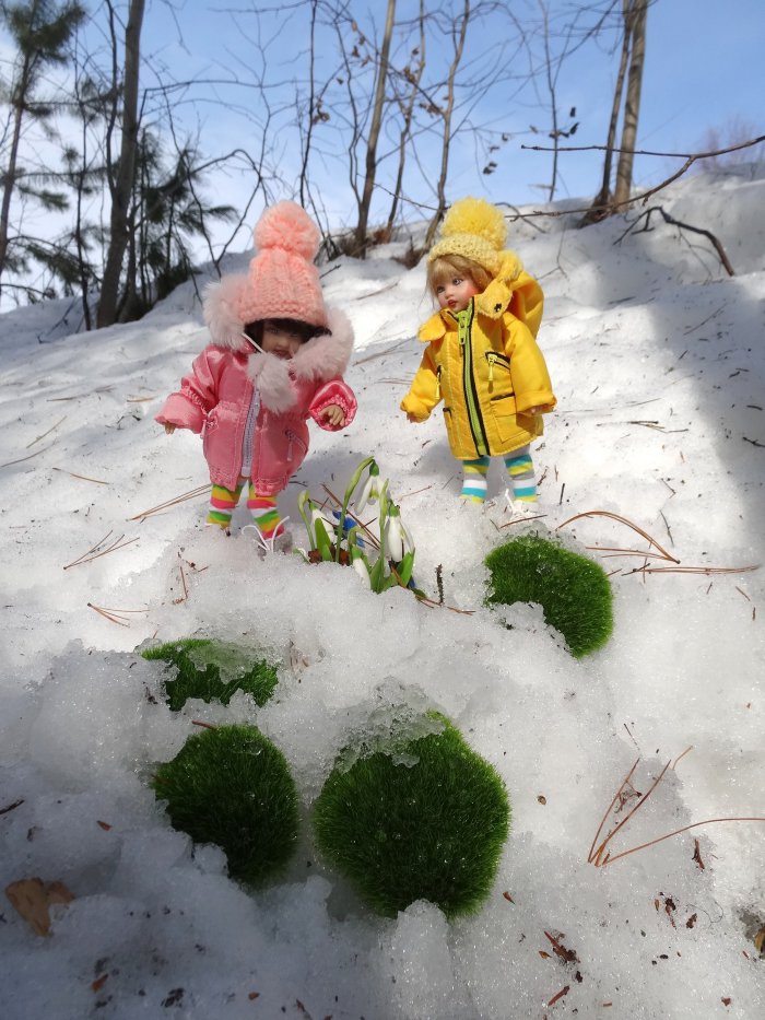 Весна на севере! Коллекционные куклы Helen Kish (фото 10)