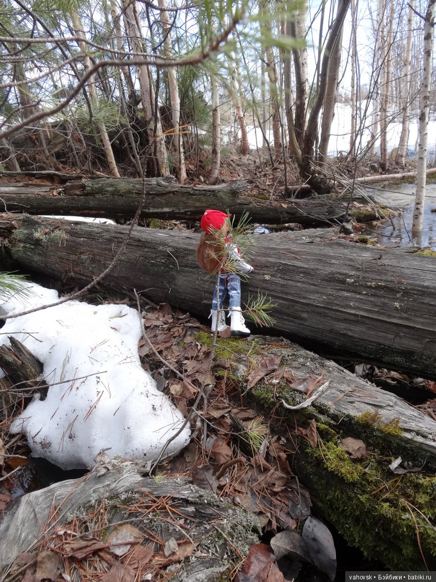 Алькина весна! Куклы Хелен Киш (фото 10)