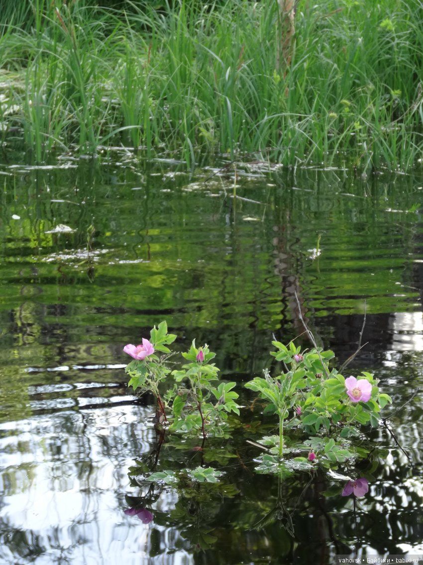 В гости к бабушке Яге! Часть первая. Куклы Хелен Киш (фото 5)
