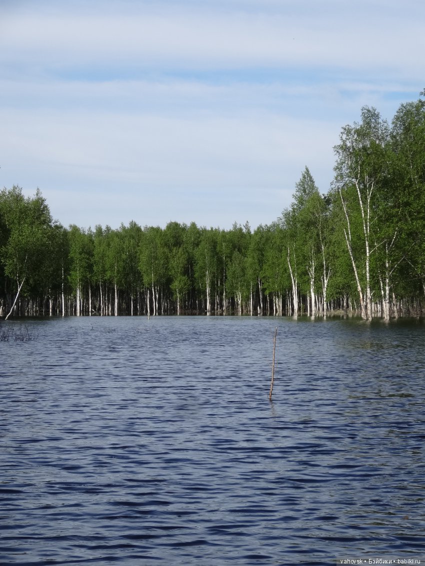 В гости к бабушке Яге! Часть первая. Куклы Хелен Киш