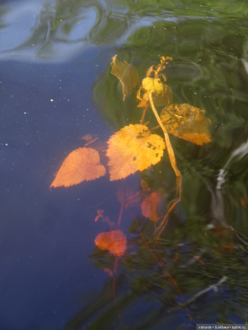 В гости к бабушке Яге! Часть первая. Куклы Хелен Киш