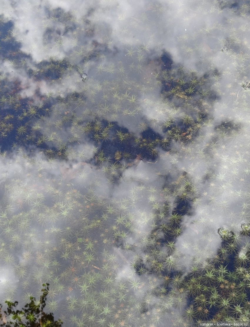 В гости к бабушке Яге! Часть первая. Куклы Хелен Киш