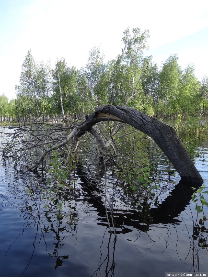 В гости к бабушке Яге! Часть вторая. Куклы Хелен Киш