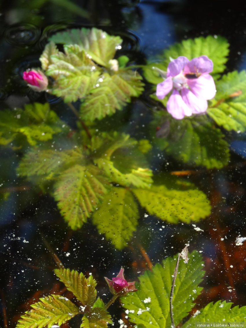В гости к бабушке Яге! Часть вторая. Куклы Хелен Киш