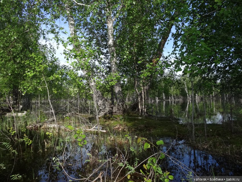 В гости к бабушке Яге! Часть вторая. Куклы Хелен Киш