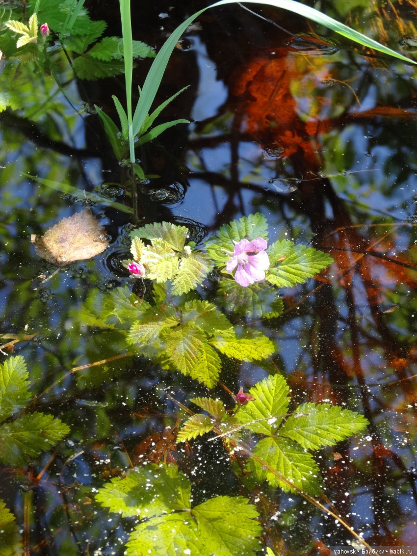 В гости к бабушке Яге! Часть вторая. Куклы Хелен Киш