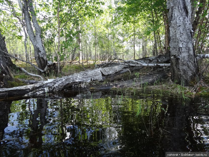 В гости к бабушке Яге! Часть вторая. Куклы Хелен Киш