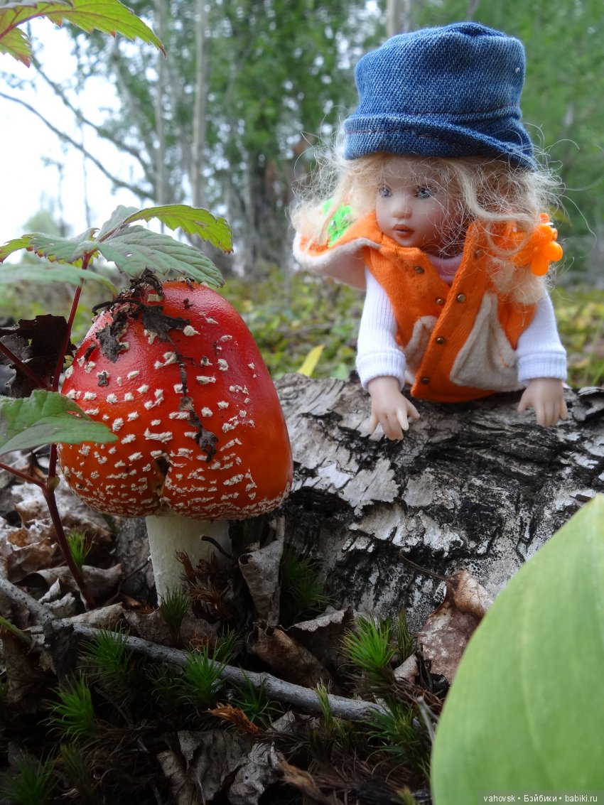 В мире грибов с Мухоморовой Гномочкой! Кукла Хелен Киш