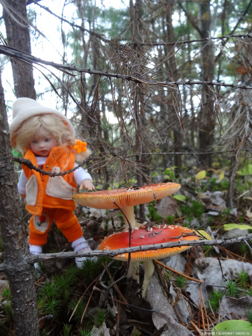 В мире грибов с Мухоморовой Гномочкой! Кукла Хелен Киш