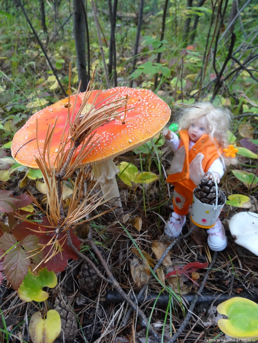 В мире грибов с Мухоморовой Гномочкой! Кукла Хелен Киш