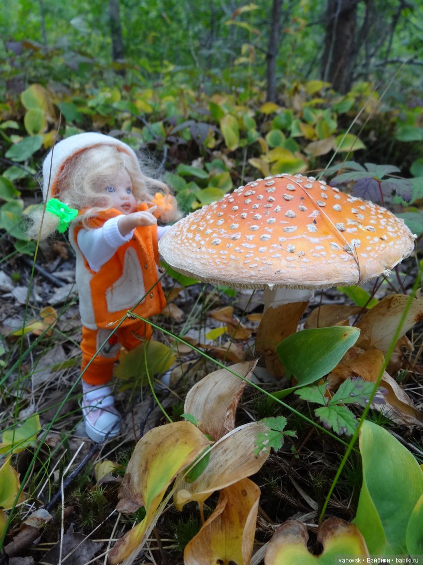 В мире грибов с Мухоморовой Гномочкой! Кукла Хелен Киш