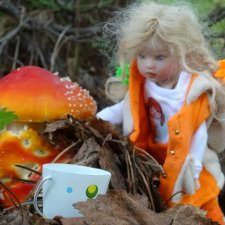 В мире грибов с Мухоморовой Гномочкой! Кукла Хелен Киш