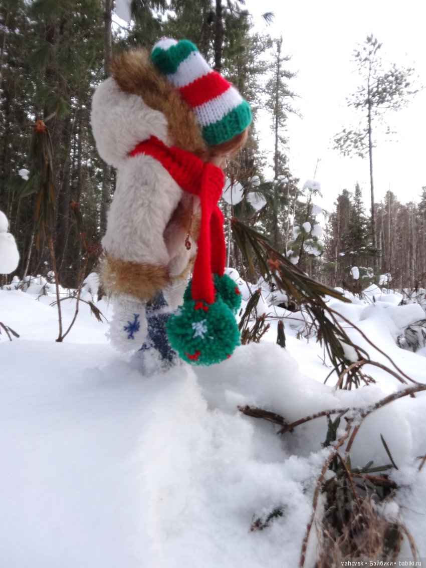 Снег,снег, снег... А мы за ёлкой (фото 8)