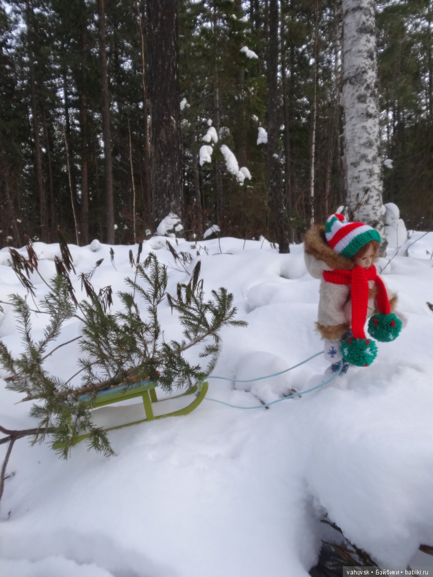 Снег,снег, снег... А мы за ёлкой