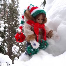 Снег,снег, снег... А мы за ёлкой