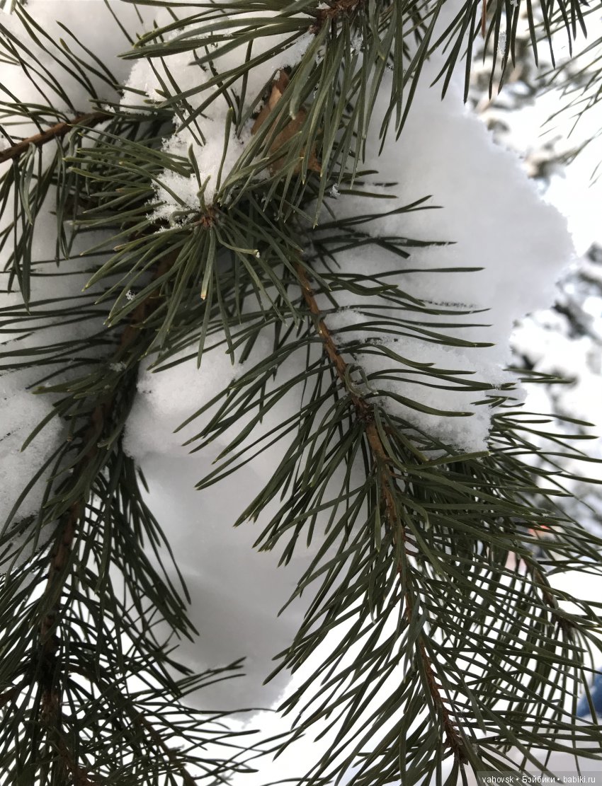 А мир прекрасен в Рождество! Часть первая (фото 4)