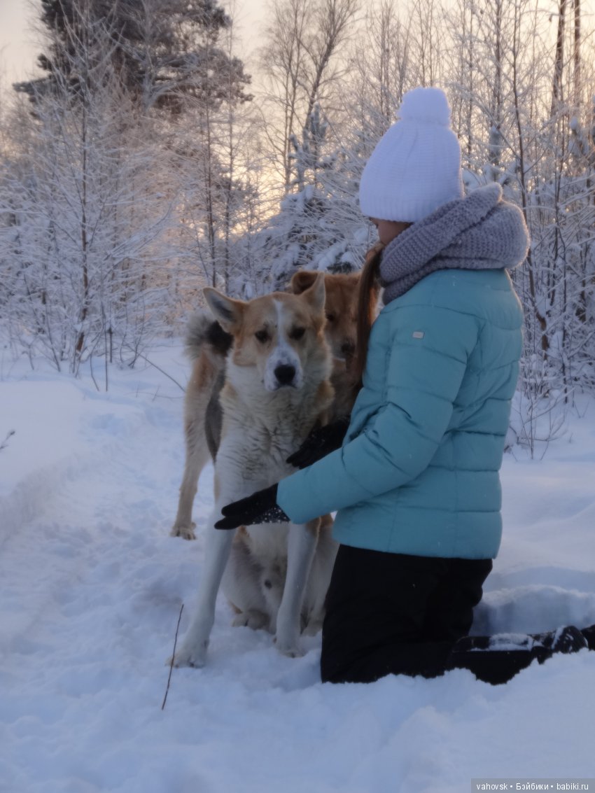 А мир прекрасен в Рождество! Часть первая