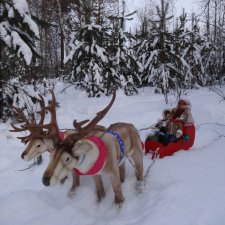 А мир прекрасен в Рождество! Часть первая