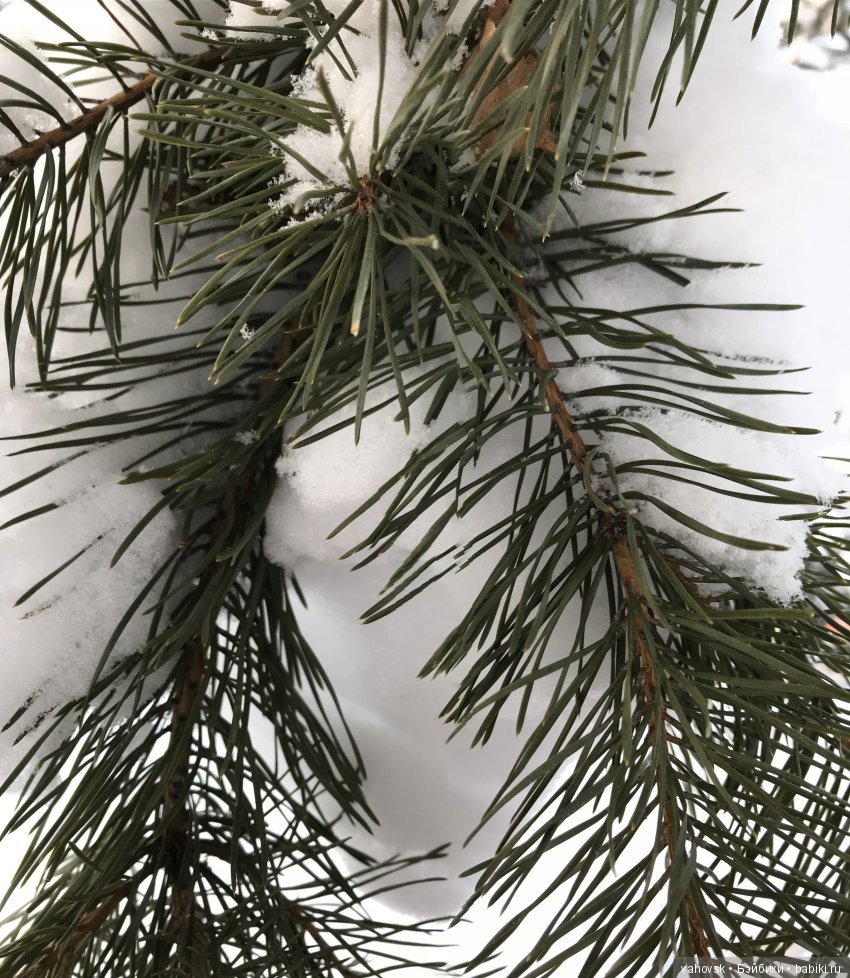 А мир прекрасен в Рождество! Часть вторая. Путешествие на бал (фото 3)