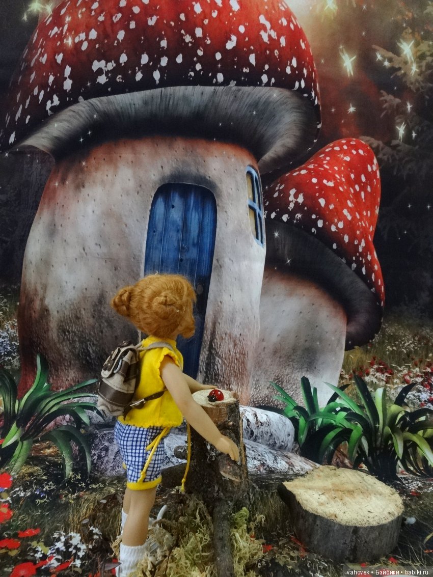 А вы верите в гномов — Куклы Heidi Plusczok (Хайди/Хейди Плюсчок) — фото