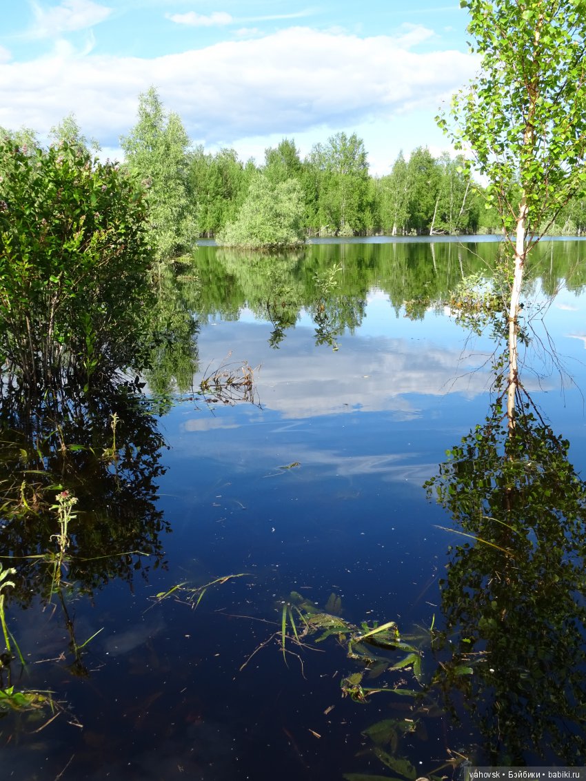 "Русалочка" из параллельного мира