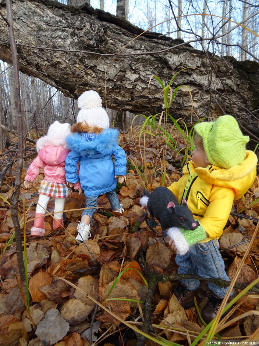 Маленькая история про большую крысу, северную осень и кукол Хелен Киш и Марианн Олденбург