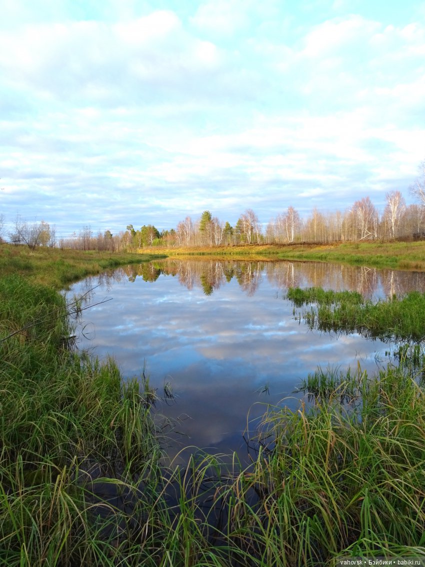 Маленькая история про большую крысу, северную осень и кукол Хелен Киш и Марианн Олденбург (фото 5)
