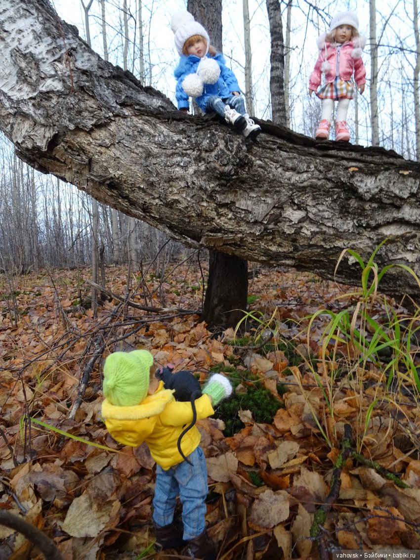 Маленькая история про большую крысу, северную осень и кукол Хелен Киш и Марианн Олденбург