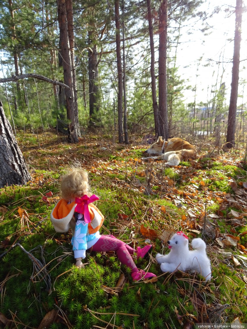 А с тёплой осенью не хочется прощаться (фото 4)