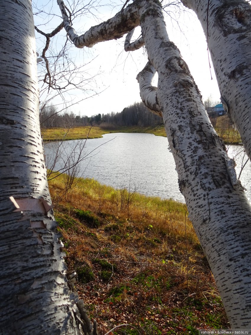 А с тёплой осенью не хочется прощаться