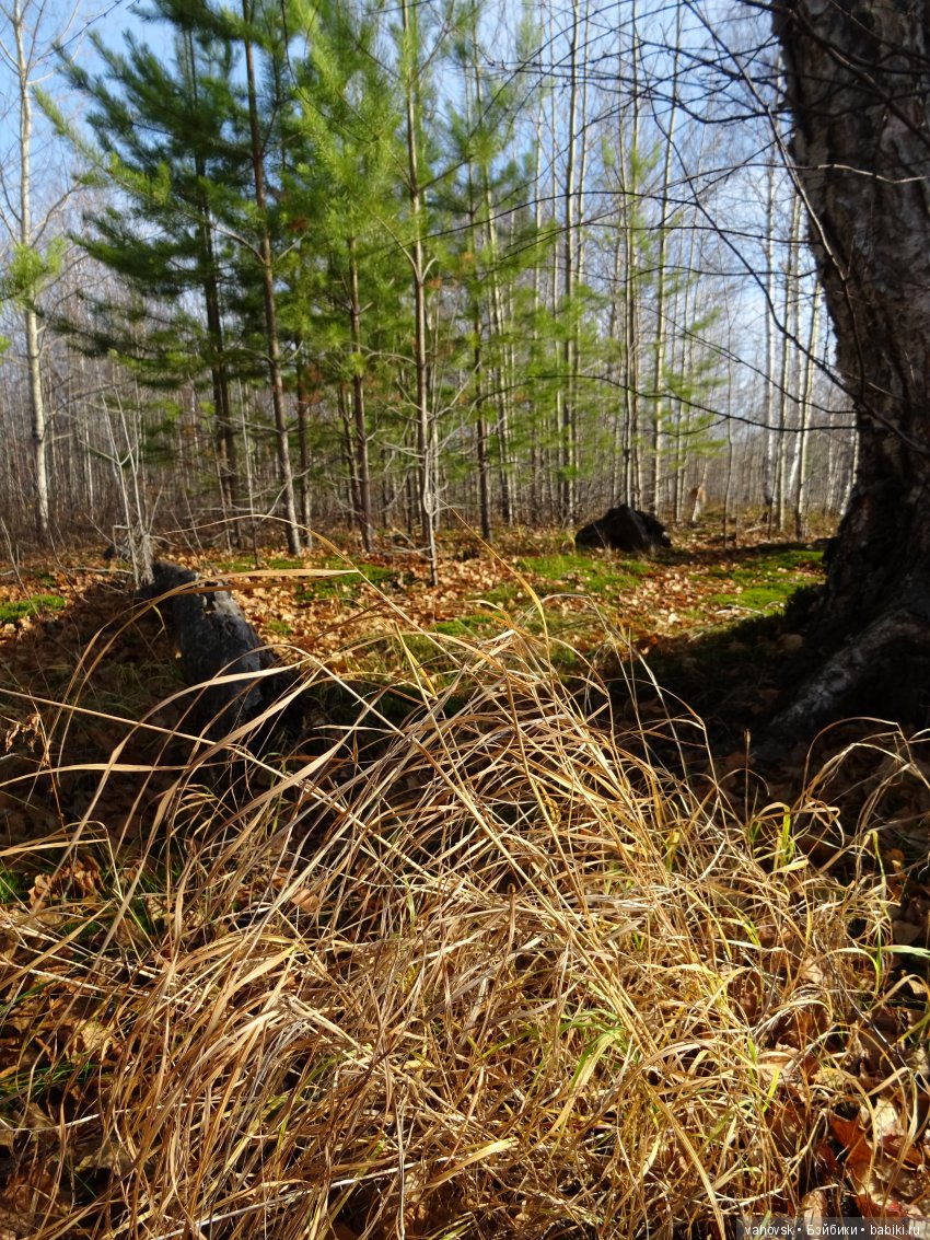 А с тёплой осенью не хочется прощаться