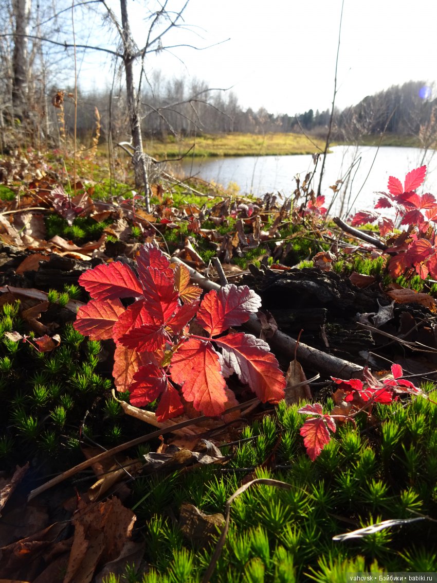 А с тёплой осенью не хочется прощаться