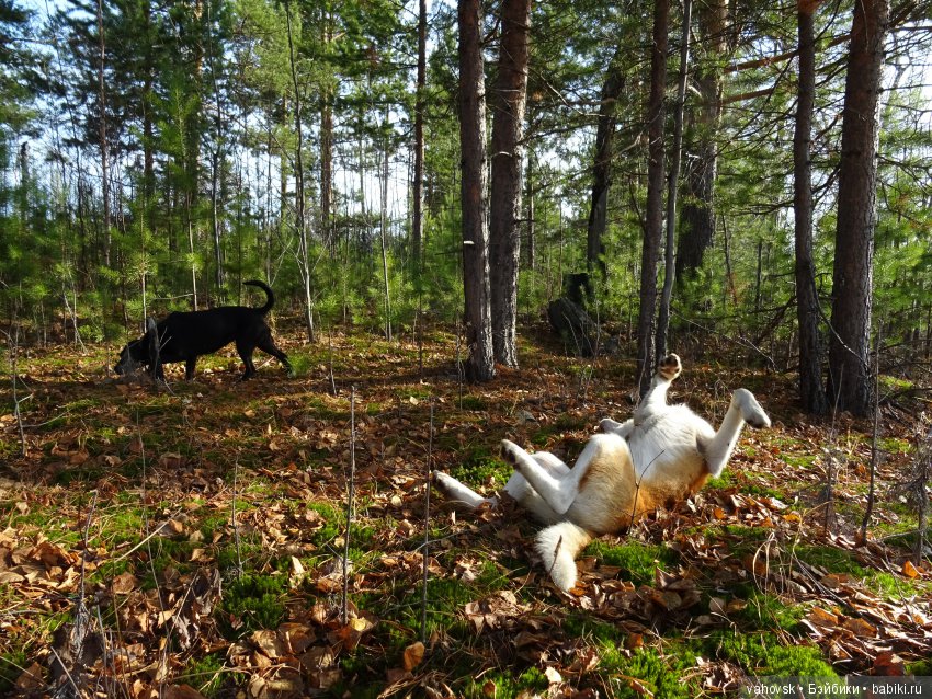 А с тёплой осенью не хочется прощаться
