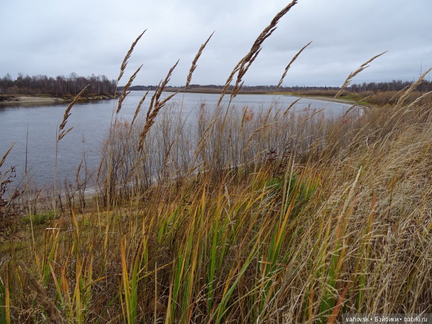 Хейферд или просто Ева. Кукла Марианн Ольденбург