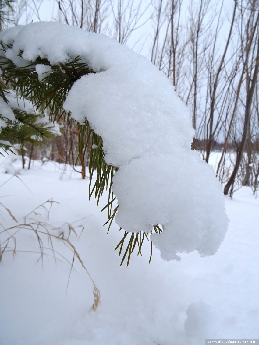 Никогда не говори "НИКОГДА" Часть 2! Кукла Паола Рейна, Софийка (фото 8)