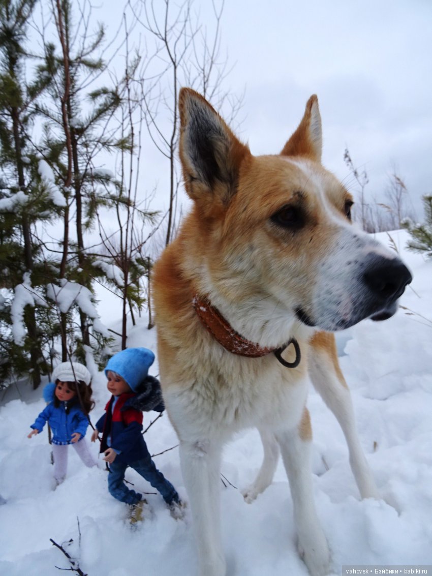 Откуда приходит Новый год