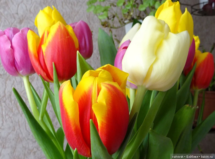 Весна пришла — ООАК Paola Reina (Паола Рейна) и испанских кукол: перерисовка