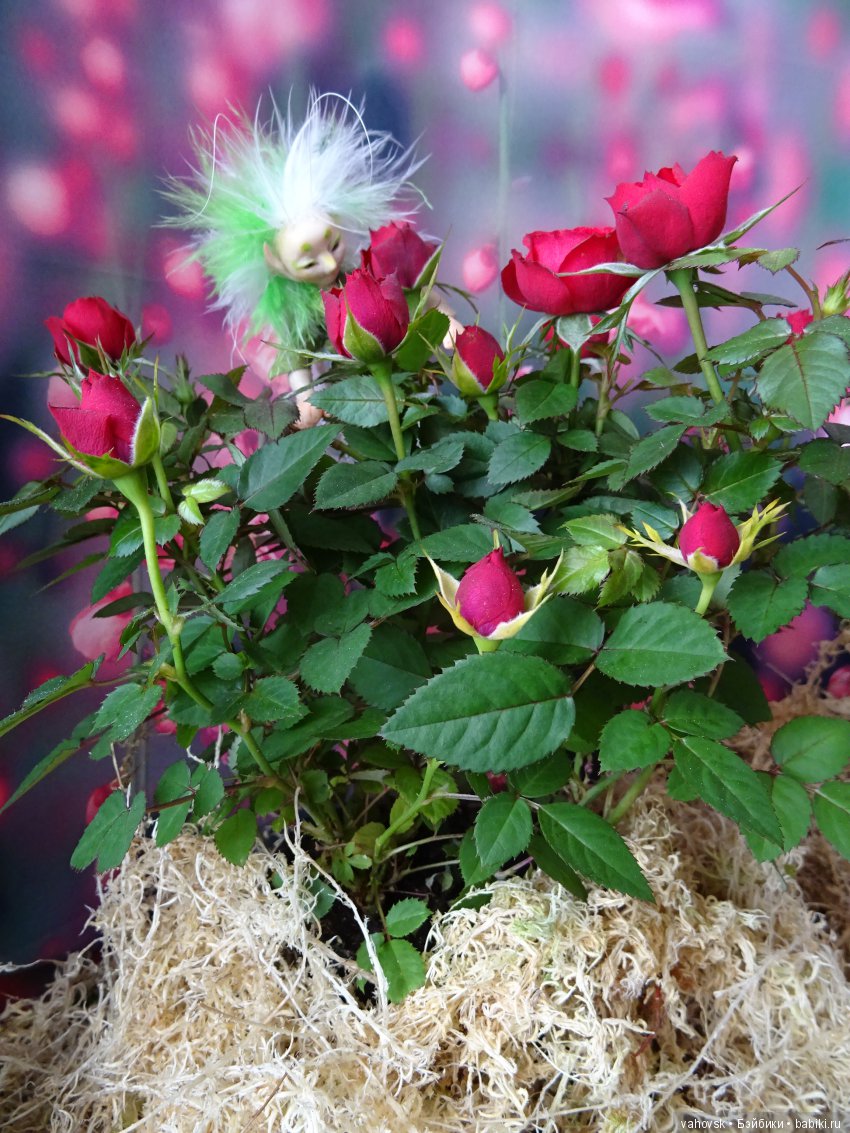 Цветочный Эльф и его удивительные друзья