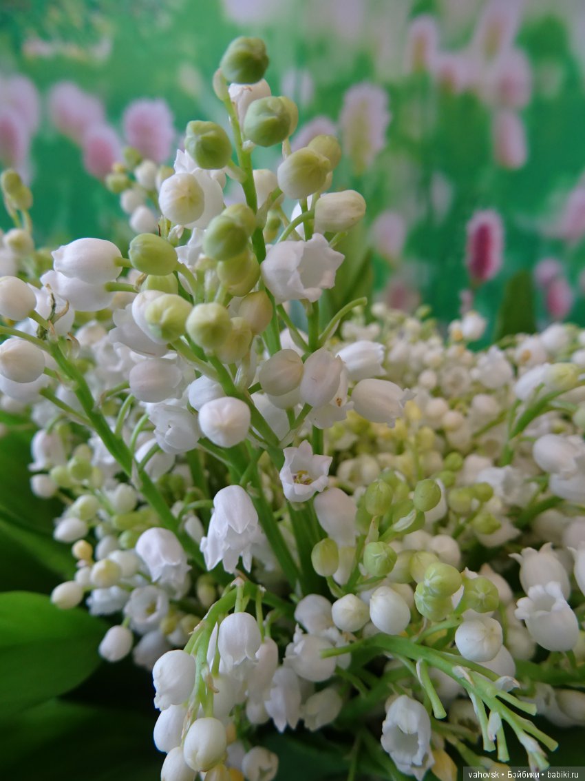 Окончательный результат — ООАК Paola Reina (Паола Рейна) и испанских кукол: перерисовка (фото 10)