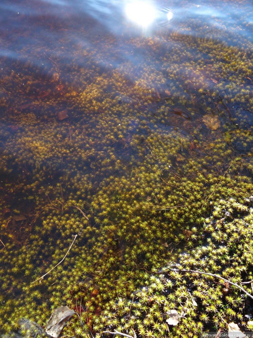 Последний звонок... Ура, каникулы! Здравствуй, лето